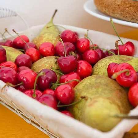 Alojamento de Acomodação e Pequeno-almoço Le Due Gioie Taviano (Lecce)